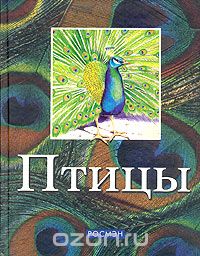 Скачать книгу "Птицы, А. Б. Костин, Н. Р. Рубинштейн, М. А. Тарханова, А. В. Тихонов"