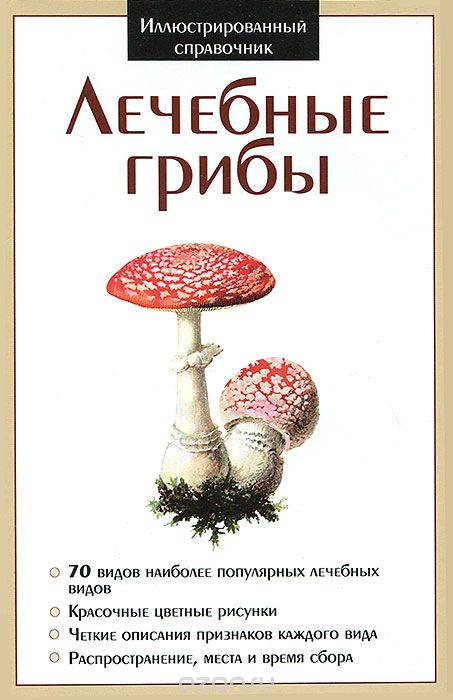 Лечебные грибы, Сергей Афонькин