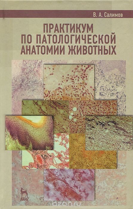 Практикум по патологической анатомии животных, В. А. Салимов