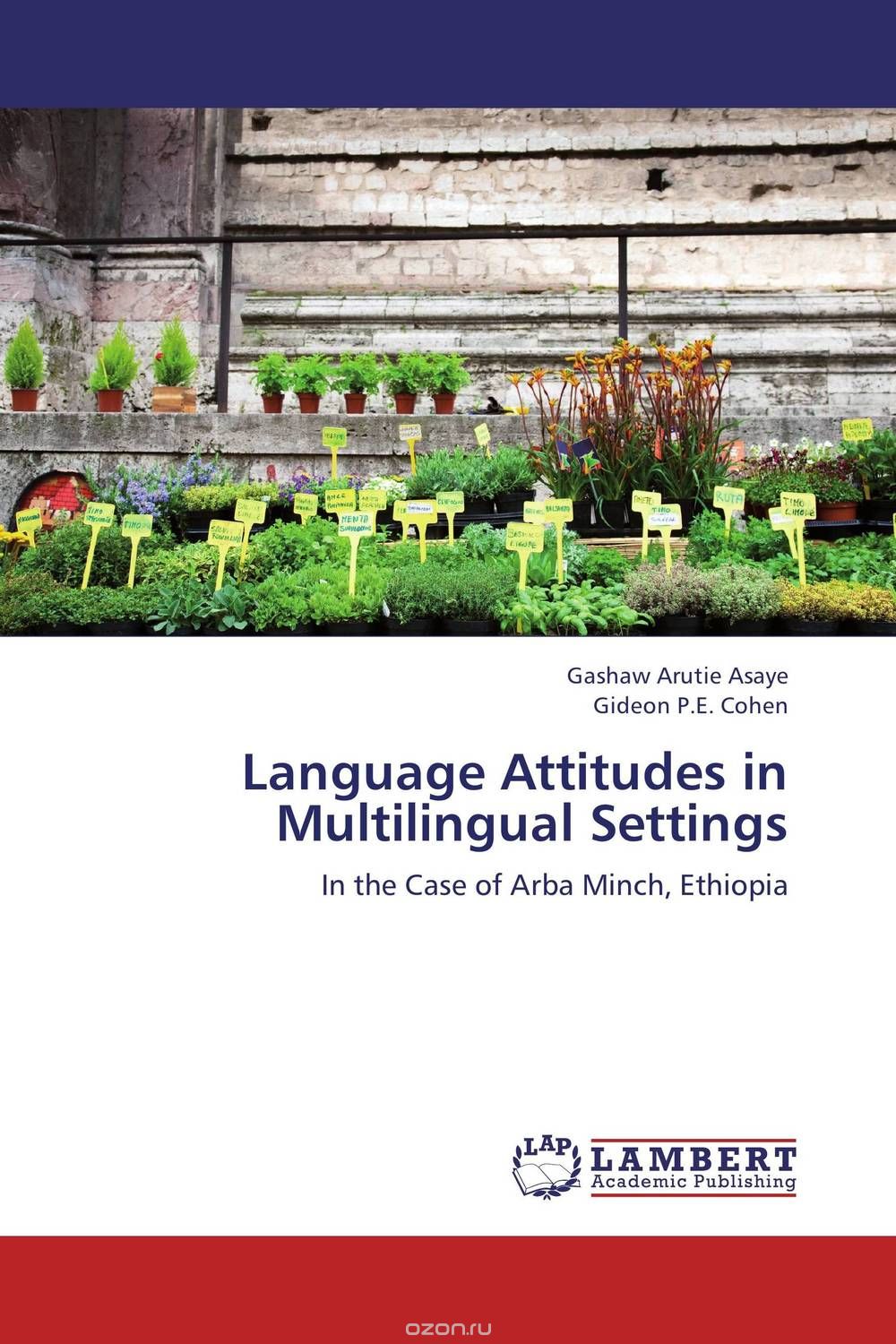 Скачать книгу "Language Attitudes in Multilingual Settings"