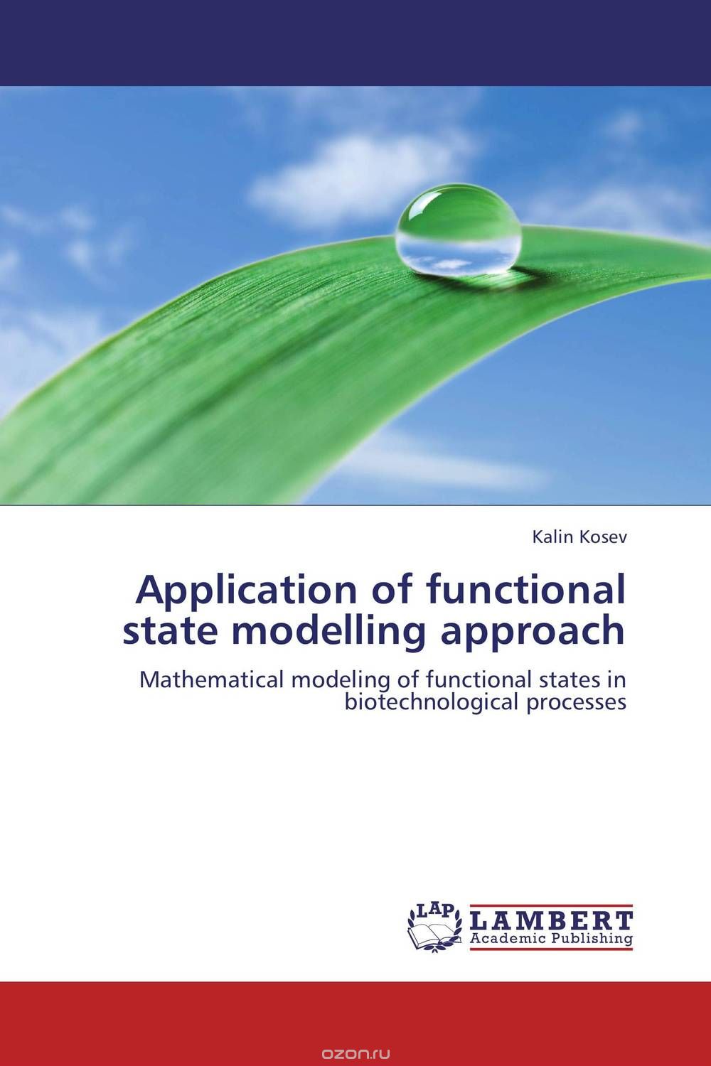 Скачать книгу "Application of functional state modelling approach"