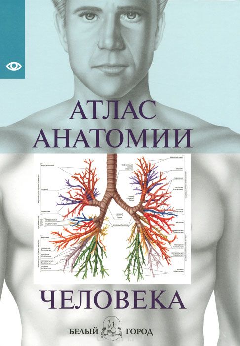 Скачать книгу "Атлас анатомии человека"