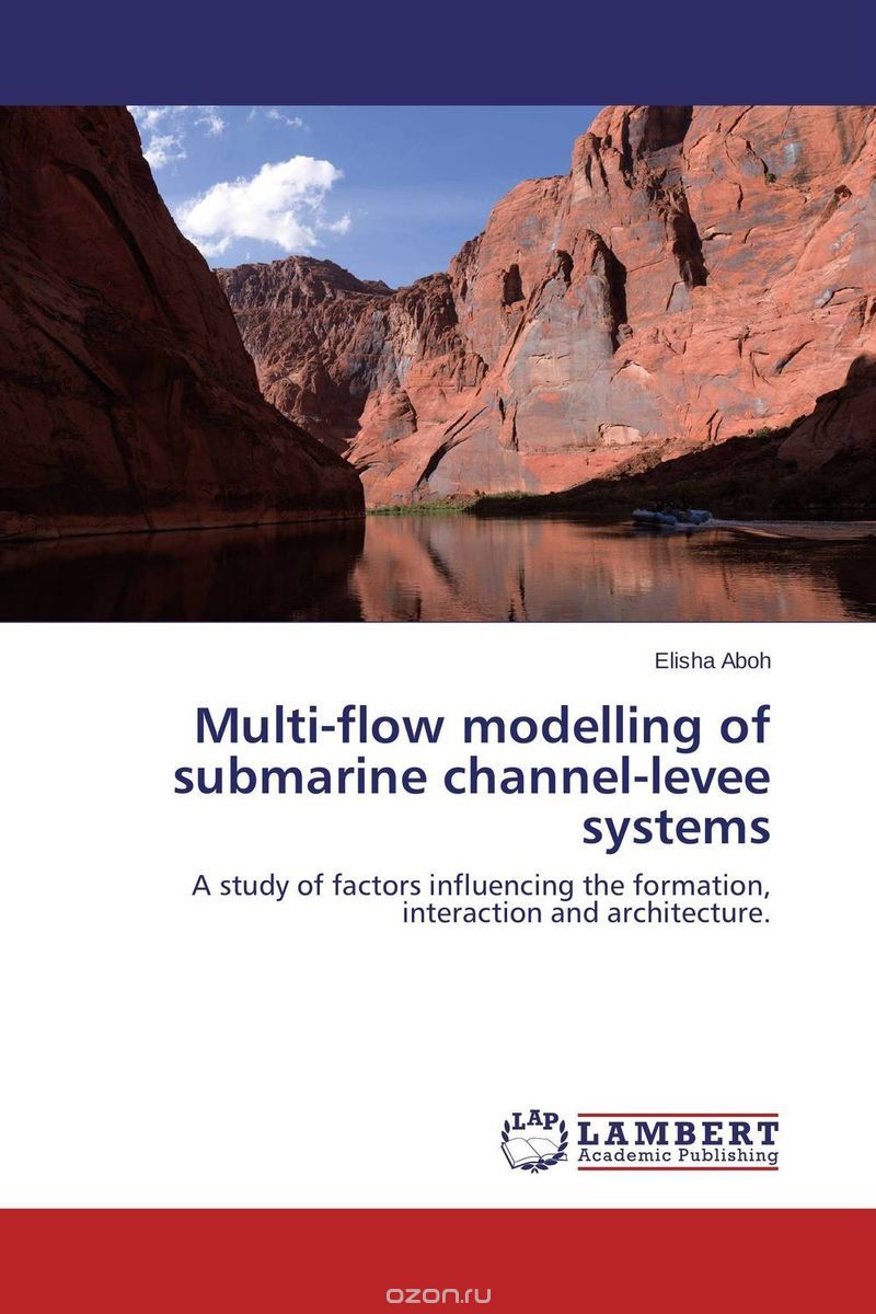 Multi-flow modelling of submarine channel-levee systems