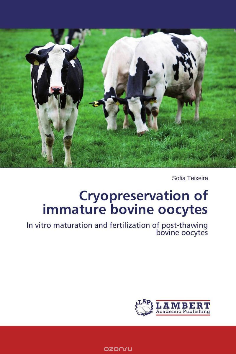 Cryopreservation of immature bovine oocytes