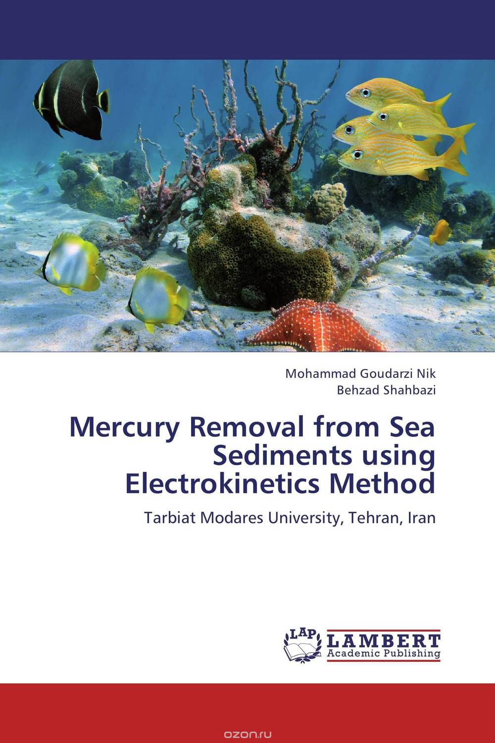 Mercury Removal from Sea Sediments using Electrokinetics Method