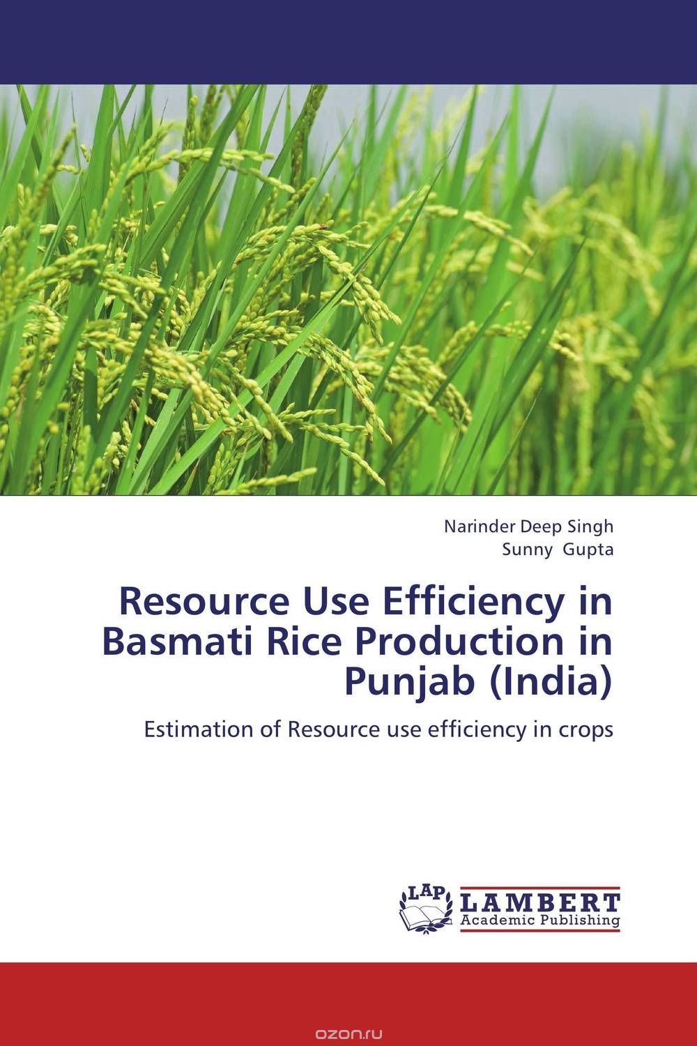 Resource Use Efficiency in Basmati Rice Production in Punjab (India)