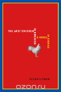 The Last Chicken in America – A Novel in Stories