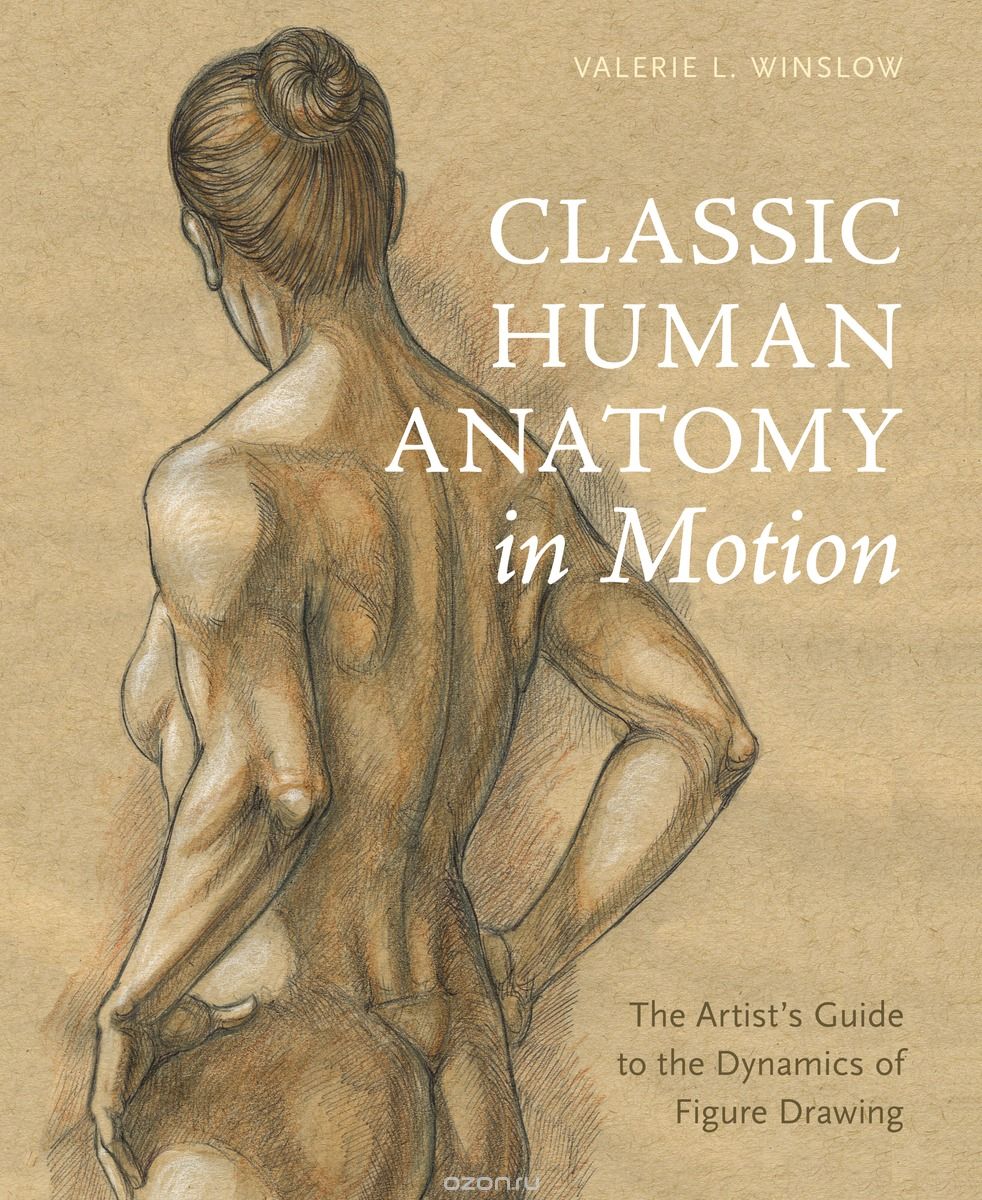 Скачать книгу "Classic Human Anatomy in Motion: The Artist’s Guide to the Dynamics of Figure Drawing"