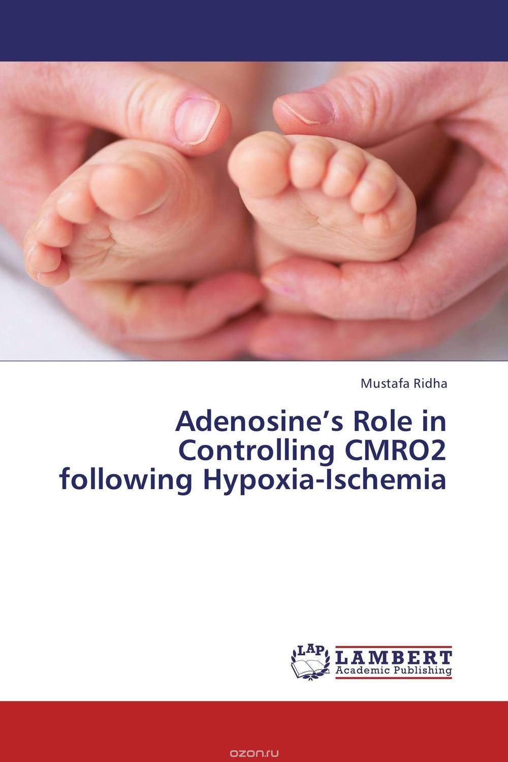 Скачать книгу "Adenosine’s Role in Controlling CMRO2 following Hypoxia-Ischemia"