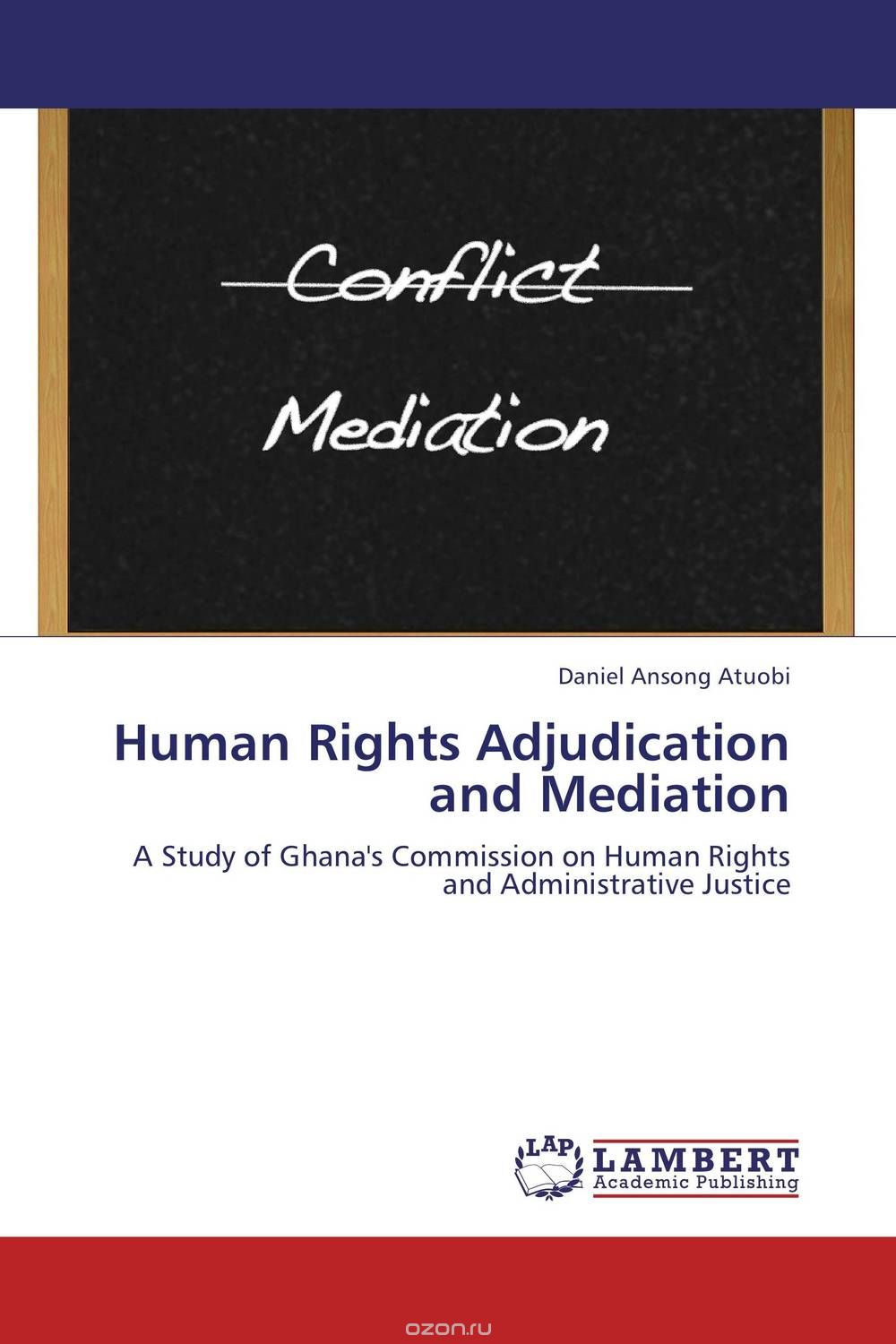 Human Rights Adjudication and Mediation