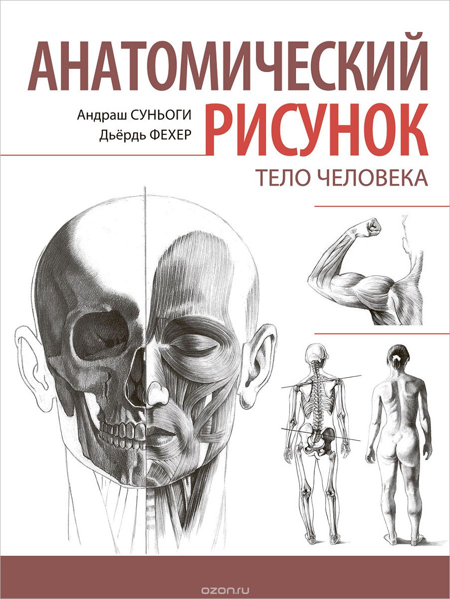 Анатомический рисунок. Тело человека, Андраш Суньоги, Дьердь Фехер