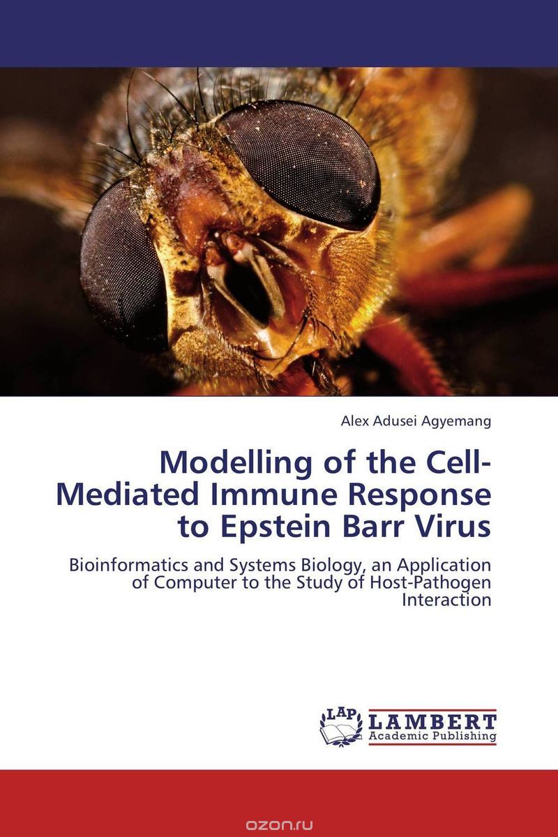 Скачать книгу "Modelling of the Cell-Mediated Immune Response to Epstein Barr Virus"