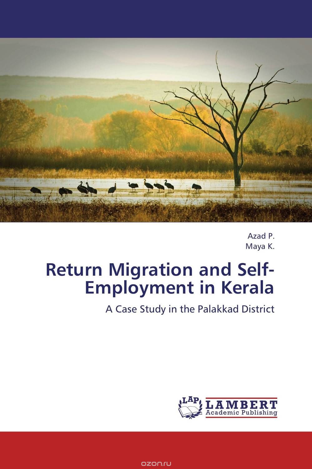Скачать книгу "Return Migration and Self-Employment in Kerala"