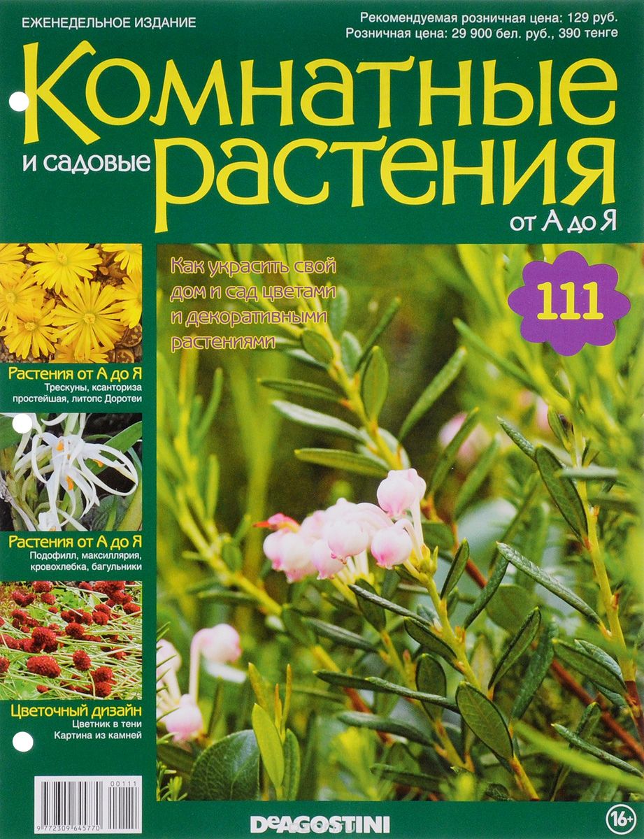 Журнал "Комнатные и садовые растения. От А до Я" №111