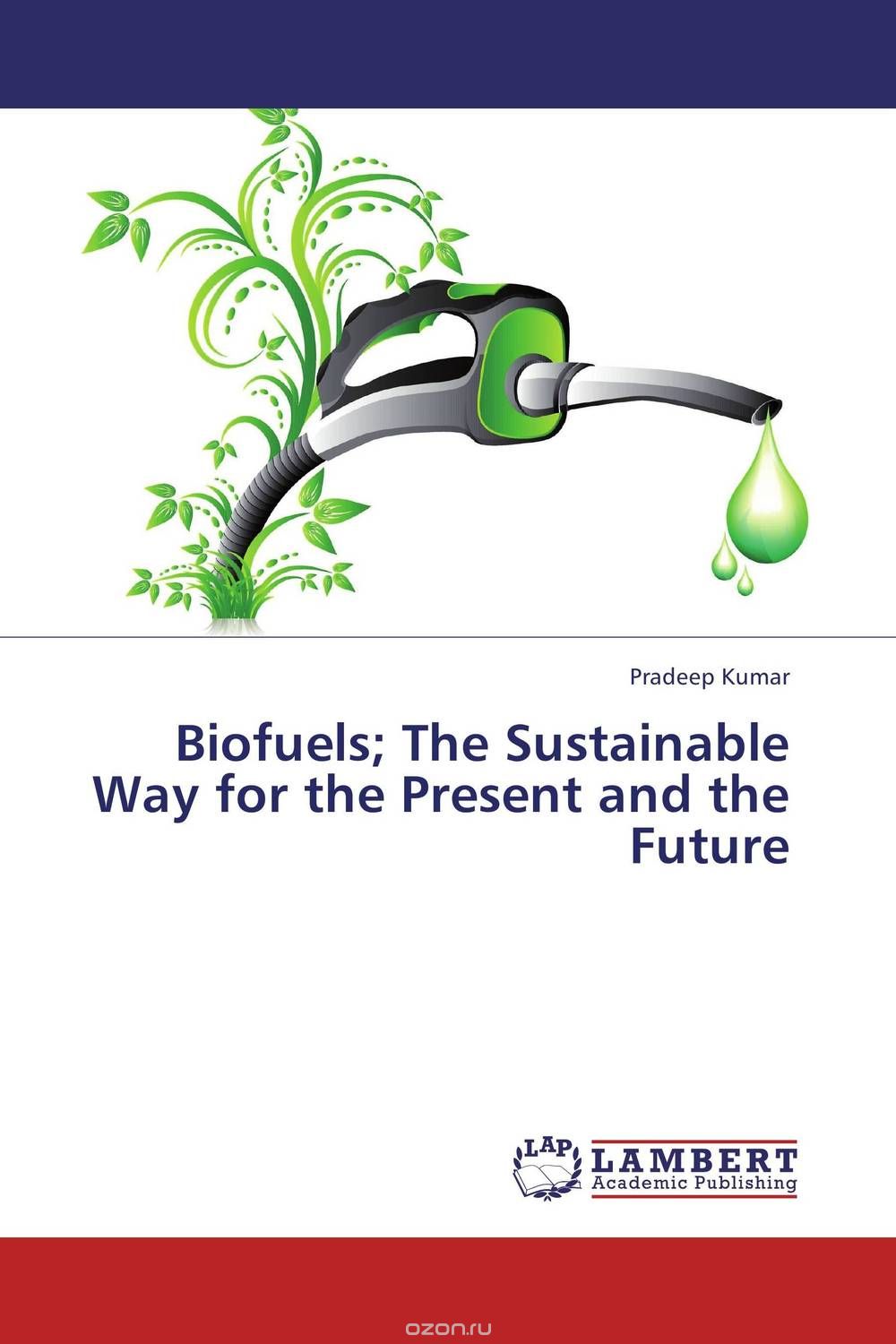 Biofuels; The Sustainable Way for the Present and the Future