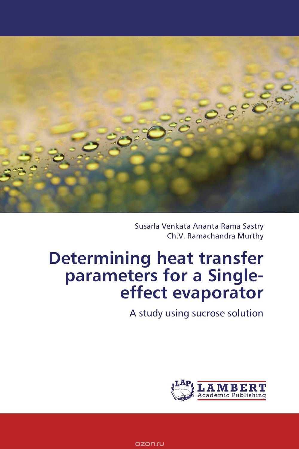 Determining heat transfer parameters for a Single-effect evaporator
